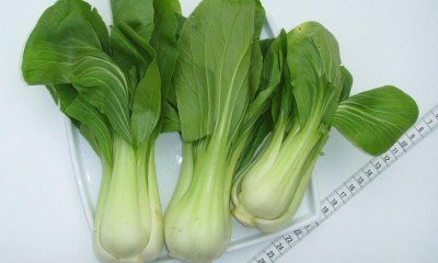 baby-pak-choi-02.jpg