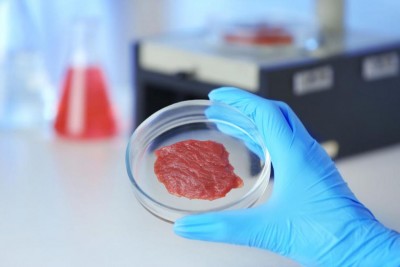 03_Carne-coltivata-in-laboratorio_imagefullwide.jpg