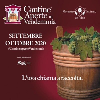 Cantine aperte in vendemmia.jpg