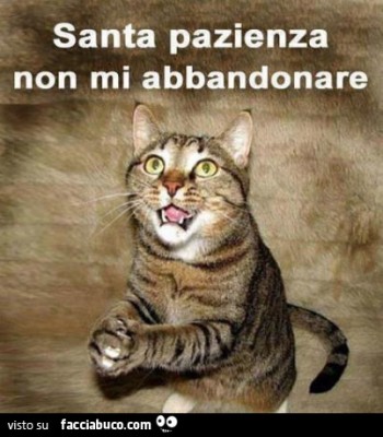 d74mjmwt7k-santa-pazienza-non-mi-abbandonare-bestiaccia_a.jpg