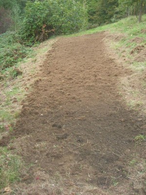 terreno pronto per la semina2.jpg