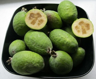 feijoa_NG7.jpg