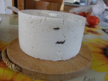 CACIOTTA TARTUFO.jpg