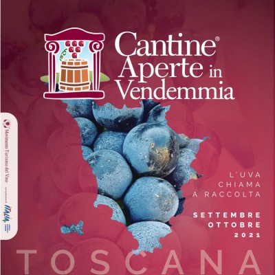 cantine aperte in vedndemmia grafica.jpg