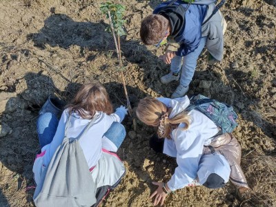 Alberi, non parole 2021 (1).jpg