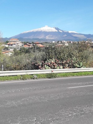 ETNA.jpg