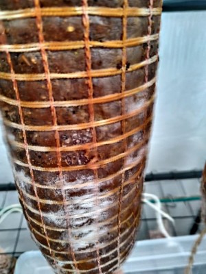 salumi1.jpg