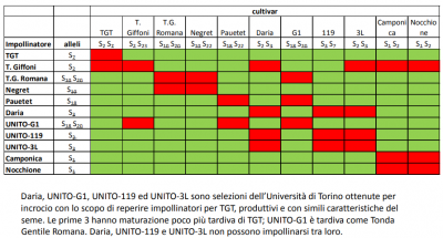 impollinatori nocciolo.png