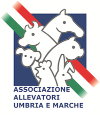 Associazione.png