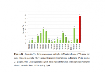 Difesa antiperonoporica 1.png