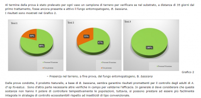 punteruolo nero fico + EPF - semicampo.png