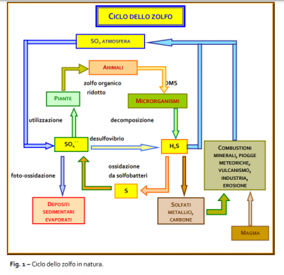 Zolfo -ciclo in natura.png