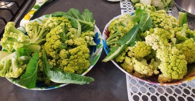 broccoli da cucinare (3)_Edited.JPG