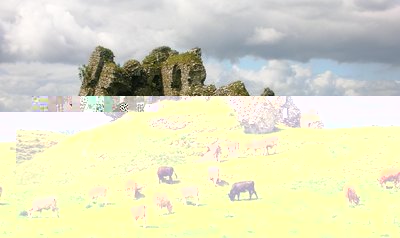 Clonmacnoise_castle_and_cattle.jpg