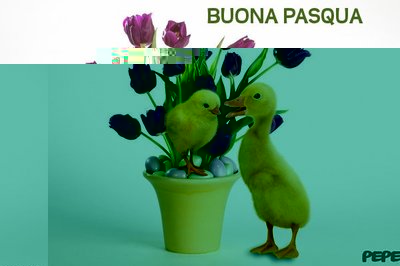 buona_pasqua.jpg