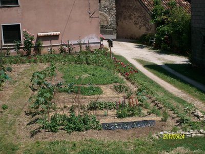 Orto visto dall'alto 2.JPG