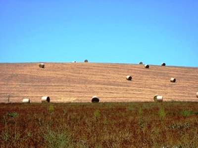 Campagna toscana.JPG