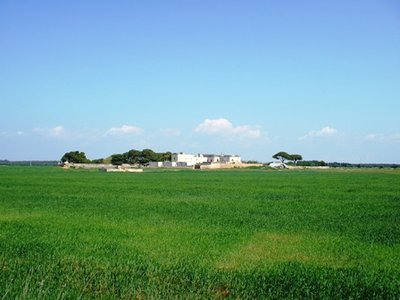 Masseria Brusca.JPG