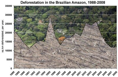 Deforestazione.jpg