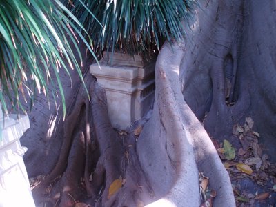 orto botanico Palermo.JPG