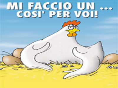 gallinas.jpg