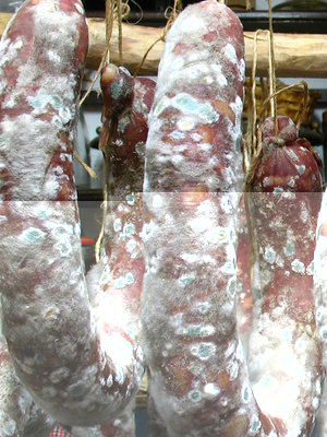 01 Salsiccia 8gg dall insacco.jpg