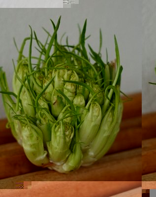 puntarelle-germogli.jpg