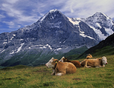 L' Eiger visto da Manlichen.jpg