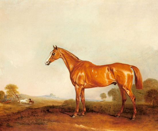 A Golden Chestnut Hunter in a Landscape.jpg