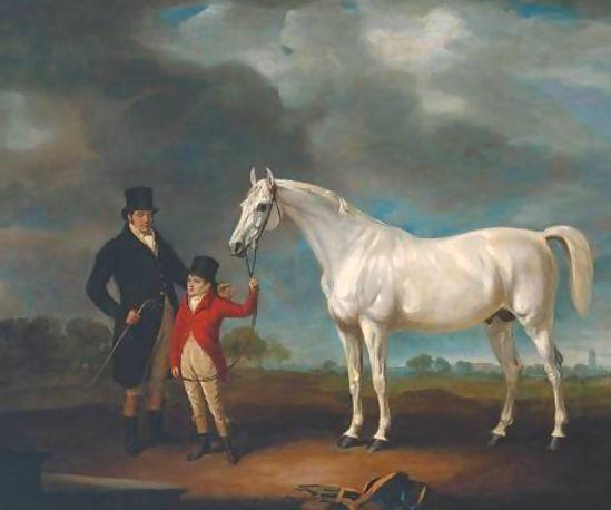 Mr Powell and his Son, with Norton, a Grey Hunter.jpg