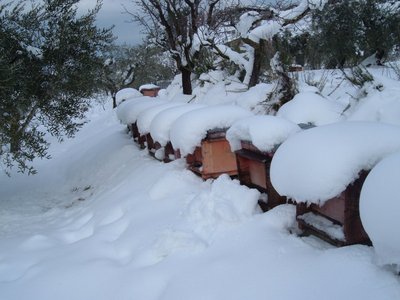 neve05022012 001.jpg