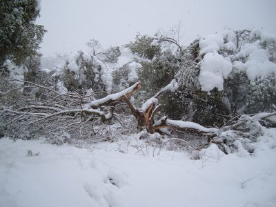 neve05022012 007.jpg