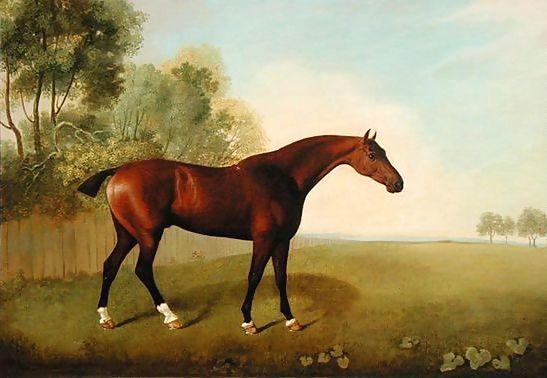 John Boultbee _ A Bay Horse in a Field, 1778.JPG