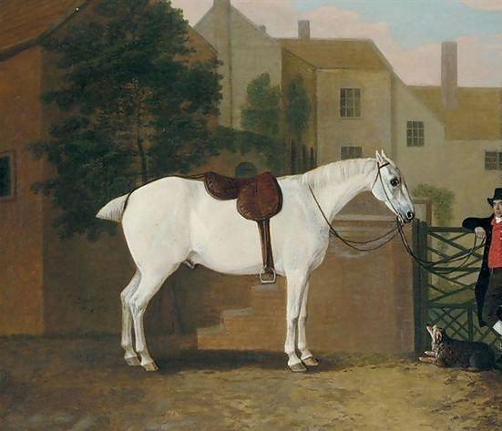 John Boultbee _ Picture of Jack, a favourite grey 1803.JPG