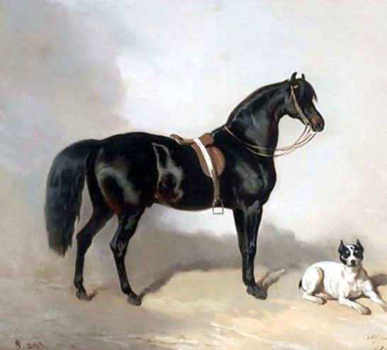 Alfred Dedreux _ An Arabic horse and bulldogue.jpg