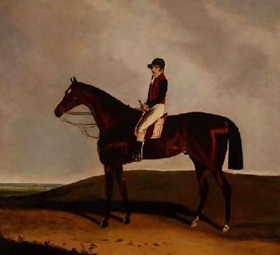 C. Markham _ A Bay Racehorse 1851.jpg