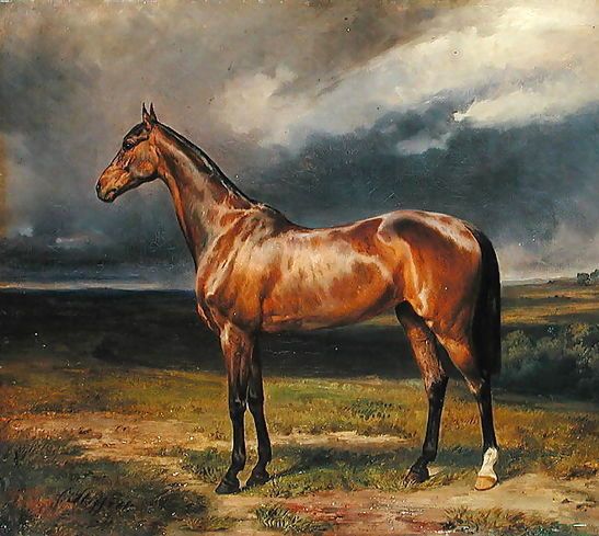 Carl Steffeck _ Abdul Medschid the chestnut arab horse, 1855.jpg