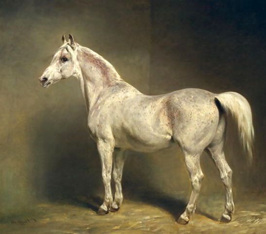 Carl Steffeck _ Beatrice, the white arab saddlehorse of Helmuth Graf von Moltke, 1855.jpg