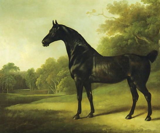 Charles Henry Schwanfelder _ A Bay Horse in a Wooded Landscape, 1814.jpg