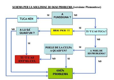 Problem_solving_Piemontese_1.JPG