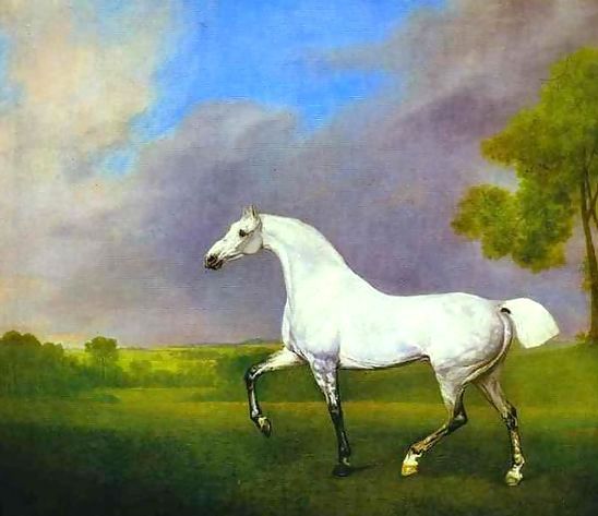 George Stubbs _ A Grey Horse.jpg