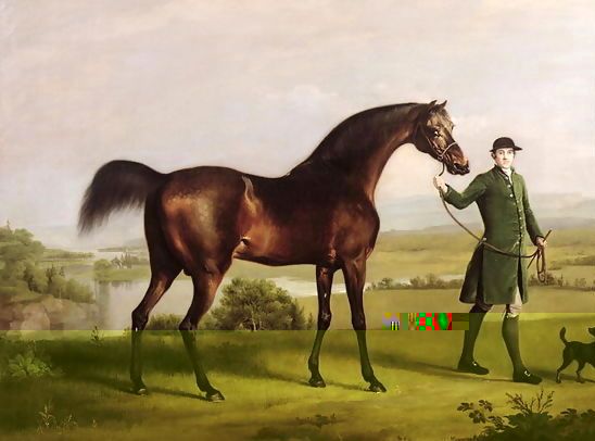 George Stubbs _ A Horse Belonging to the Rt. Honourable Lord Grosvenor called Bandy from his Crooked Leg, exh. 1763.jpg