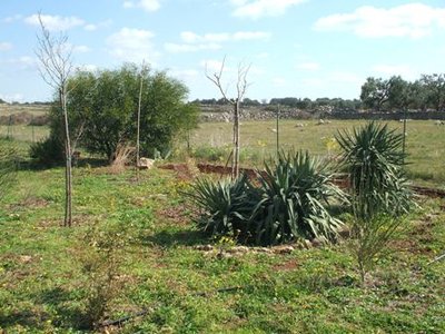 zona giardino.JPG