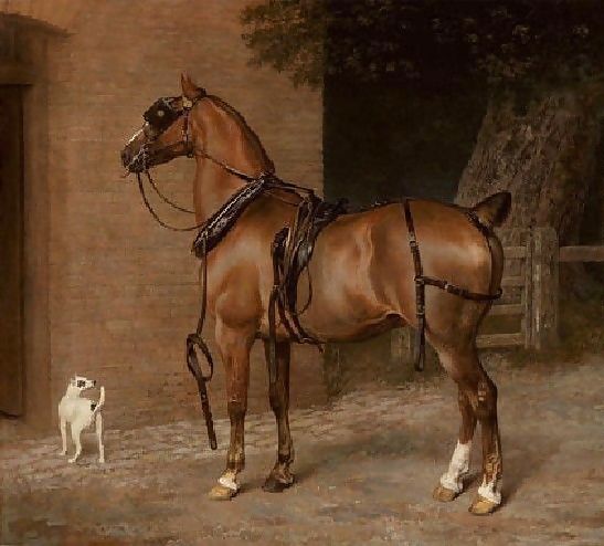 Jacques Laurent Agasse _ A Carriage Horse.jpg