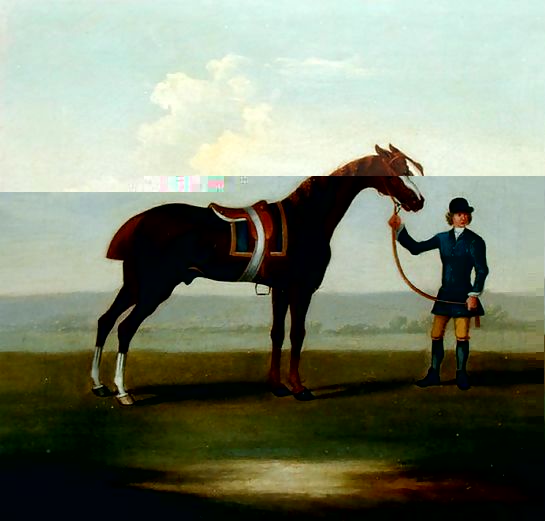 James Seymour _ A Chestnut Horse.jpg