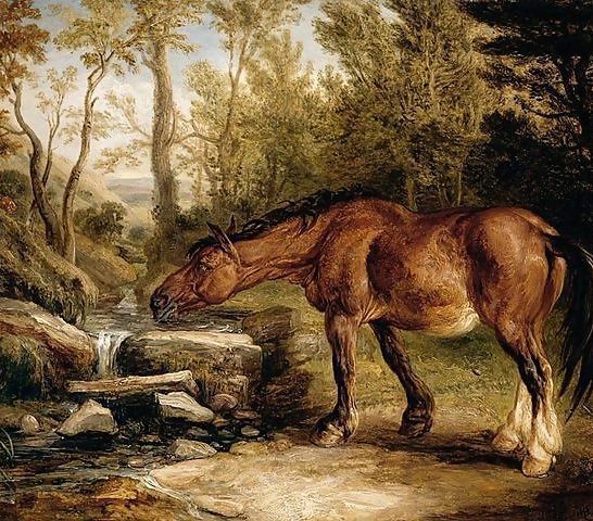 James Ward_ A Horse Drinking at a Stream 1838.jpg