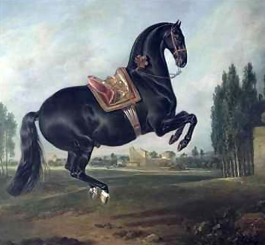 Johann Georg Hamilton _ A black horse performing the Courbette 2.jpg