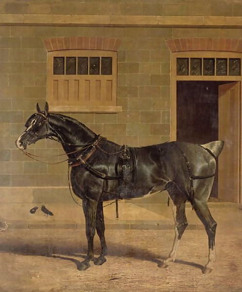 John Frederick Herring Snr _ A Carriage Horse in a Stable Yard.jpg