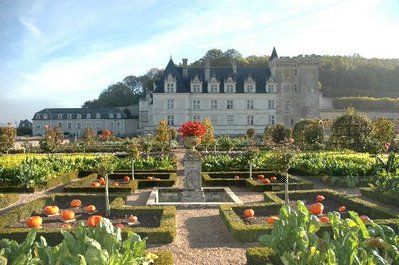 le-potager-de-villandry.jpg