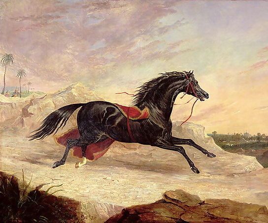 John Frederick Herring Snr _ Arabs chasing a loose arab horse in an eastern landscape.jpg